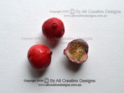 Red Apple Syzygium ingens Fruit