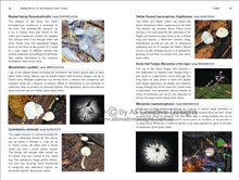 Rainforests of Australia's East Coast Book Mushrooms Page 2