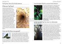 Green Guide Trees Of Australia Book Sample Page 1