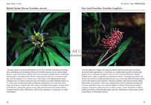 Green Guide Trees Of Australia Book Sample Page 2