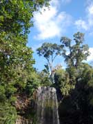 Millaa Millaa Falls Atherton Tablelands
