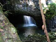 Natural Bridge Cave Creek Springbrook QLD