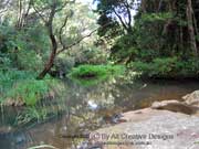 Purling Brook Creek Australia