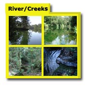 River & Creek Photos, Creek Images