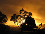 Golden Sunrise Northern NSW