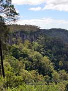 Springbrook Plateau Queensland