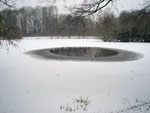 Frozen Duck Pond 2