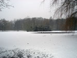 Frozen Duck Pond 1