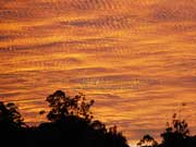 Australian Winter Sky Image