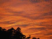 Golden Sky Pattern Australia
