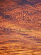 Golden Sky Pattern Picture