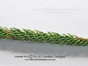 Norfolk Island Pine Araucaria heterophylla Leaves