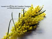 Flower Narrow-leaved Wattle Acacia linearifolia