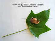 Candlenut Aleurites moluccana Leaf
